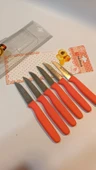 Sürbisa Meyve Takımı Turuncu (6'lı)61007 7.0 cm - 9