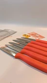 Sürbisa Meyve Takımı Turuncu (6'lı)61007 7.0 cm - 8