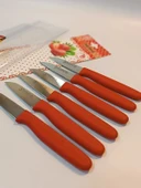 Sürbisa Meyve Takımı Kırmızı (6'lı)61007 7.0 cm thumbnail 2