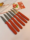 Sürbisa Meyve Takımı Kırmızı (6'lı)61007 7.0 cm thumbnail 9