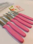 Sürbisa Meyve Takımı Pembe 6'lı 61007 7.0 cm - 2