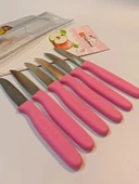 Sürbisa Meyve Takımı Pembe 6'lı 61007 7.0 cm - 1