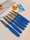 Sürbisa Meyve Takımı Mavi (6'lı)61007 7.0 cm thumbnail 5