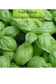 NEOMİ YEŞİL ERYHAN (FESLEGEN) TOHUMU 1 GR - 2