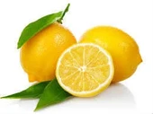 Limon Bonesi / 10 Adet / Bitki Çayı Bonesi - 2