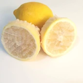 Limon Bonesi / 100 Adet / Bitki Çayı Bonesi - 1