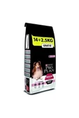 Proplan Somonlu Hassas Yetişkin Kuru Köpek Maması 14 2,5 Kg - 1