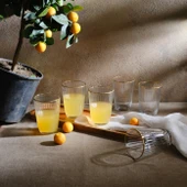 Karaca Ravello 6'lı Meşrubat Bardağı 370 Ml - 1