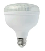 HOROZ 30 WATT CRYSTAL LED AMPUL GÜNIŞIĞI - 1