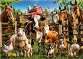 Educa 500 Parça Çiftlik Arkadaşları Hayvan Puzzle - 19905 - Farmyard Buddies thumbnail 1