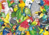 Educa 500 Parça Papağanlar / Parrots Puzzle - 19547 thumbnail 1