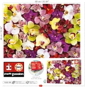 Educa 1000 Parça Orkide Çiçek Kolajı - Orchid Collage - 19558 - 3