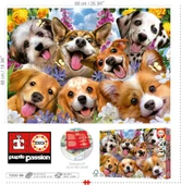 Educa 1000 Parça Yavru Köpek Selfiesi Puzzle - Puppies Selfie Howard Robinson - 19931 thumbnail 3