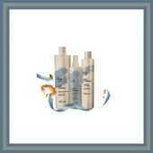 360 Hair Professional Daily Shp-Daily Cond.300ml-Daily Detangler 250ml  Set - 1