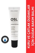 OMEGA SKIN LAB Lip Balm Restore 15 ml - 1