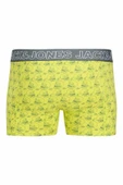 Jack Jones Caprı 3 Lü Paket Erkek Boxer 12277768 - 4