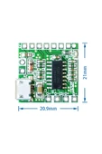 ROBİZ Pam8403 Mini Ses Yükseltici Class D 2x3w Amfi Kartı Micro Usb Beslemeli Stereo - 3