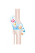 Condurax Tip 2/5 Ve 10 Kolajen Içeren Glukozamin Shark Cartilage Msm 200 Tablet D3 Vitamin - 6