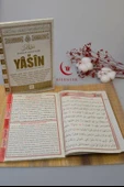 Türkçe Okunuşlu ve Mealli Fihristli 41 Yasin Dua Kitabı Orta Boy Krem thumbnail 4
