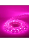 5metre LED Şerit 5050 DC12V Pembe Renkli (60LED/M) IP20 Işık Aydınlatma Lambası Hortum Kendinden Yapışkanlı - 5