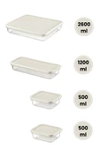 Flora 4’lü Dondurucu Saklama Kabı Seti, Buzdolabı Difriz Erzak Gıda Düzenleyici Set (2600,1200,500,500ml) - 2