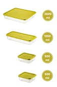 Flora 4’lü Dondurucu Saklama Kabı Seti, Buzdolabı Difriz Erzak Gıda Düzenleyici Set (2600,1200,500,500ml) - 12