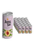 JUSSTEA Şeftali Aromalı Soğuk çay 250ML x24 Adet - 1