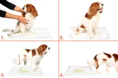 Yıkanabilir Köpek Çiş Pedi - 100 X 100 Cm 5li Paket (483483) - 2