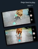 Köpek Çiğneme Oyuncağı - Vantuzlu Elastik İpli Top - Kırmızı Mavi Vantuzlu + Oval Göl Mavisi Vantuzlu thumbnail 8