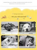 Vinil Köpek Oyuncağı - Zilli Top Orta 6cm - 9