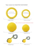 EVA Yumuşak Frizbi Köpek Oyuncağı thumbnail 5