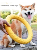 Küçük Boy EVA Zıplayan Top Köpek Oyuncağı - 2