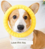 Küçük Boy EVA Zıplayan Top Köpek Oyuncağı - 8