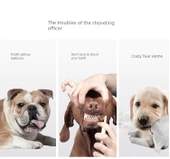 EVA Yumuşak Frizbi Köpek Oyuncağı thumbnail 9