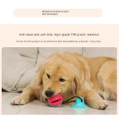 Köpek Çiğneme Oyuncağı - Vantuzlu Elastik İpli Top - Kırmızı Mavi Vantuzlu + Oval Göl Mavisi Vantuzlu thumbnail 4