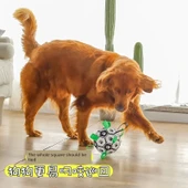 Mavi Karpuz Köpek Topu - 5cm - Küçük Irk ve Yavru Köpekler İçin - 5