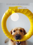 EVA Yumuşak Frizbi Köpek Oyuncağı thumbnail 4