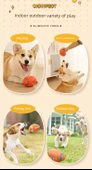 Köpek Çiğneme Oyuncağı Topu - Küçük Boyut Isırmaya Dayanıklı Patlayan Toplu thumbnail 10
