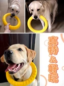 Küçük Boy EVA Zıplayan Top Köpek Oyuncağı - 6