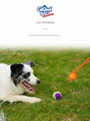 Köpek Oyuncak Top Fırlatıcı Seti - Orta Boy Tenis Toplu - 7