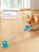 Küçük Köpek Çiğneme Oyuncağı - Küçük Köpekler için Köpek Balığı - Mavi - 11