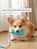Köpek Çiğneme Oyuncağı - Ayakkabı ve Dikenli Top - 10
