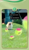 Köpek Isırmasına Dayanıklı Top Oyuncak - Kırmızı Dolu Top Süper Büyük Boy (Yüksek Elastik Süper Isırık Dayanımı) - 9