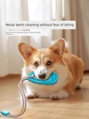 Köpek Oyuncak Vantuzlu Isırmaya Dayanıklı Diş Kaşıma Oyuncağı - Terlik Mor - 5