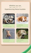 Köpek Isırmasına Dayanıklı Top Oyuncak - Kırmızı Dolu Top Süper Büyük Boy (Yüksek Elastik Süper Isırık Dayanımı) - 8