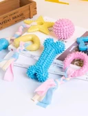 Köpek Diş Kaşıma Oyuncağı - Burgulu Donut + Pati Baskılı Dikenli Top - 4