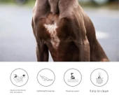 Isırmaya Dayanıklı Köpek Oyuncağı - Patlayan Top Küçük Boy + G-Top Şeffaf - 5