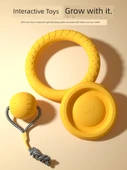 Köpek Oyuncakları - Saplı İnteraktif Frizbi [20cm] - 9