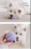 Köpek Oyuncak Topu - Yingge Yeşil Top + Saklama Kutusu - 10