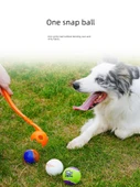 Köpek Oyuncak Top Fırlatıcı Seti - Orta Boy Tenis Toplu - 4